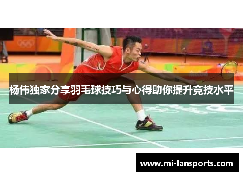 杨伟独家分享羽毛球技巧与心得助你提升竞技水平